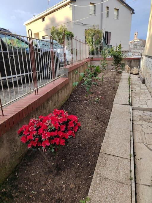 B&B La Finestra Sul Mare ريباترانسوني المظهر الخارجي الصورة